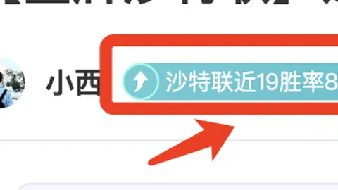 帕尔梅拉斯对弗鲁米嫩塞 激战成平