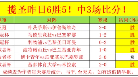 佐加顿斯实力分析：对阵卡尔马专家推荐策略